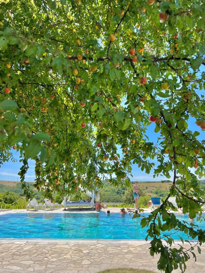 Hilltop Borbirtok & Etterem Hotel Neszmely Exterior photo