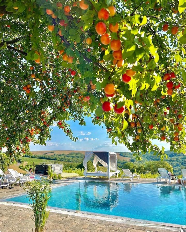 Hilltop Borbirtok & Etterem Hotel Neszmely Exterior photo