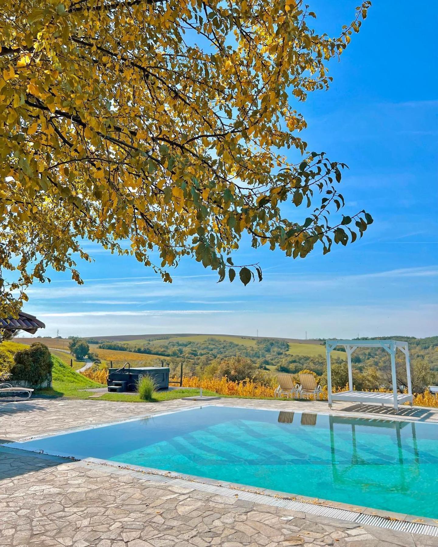 Hilltop Borbirtok & Etterem Hotel Neszmely Exterior photo